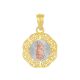 14k Gold Tri-Color Round Our Lady of Guadalupe Medal